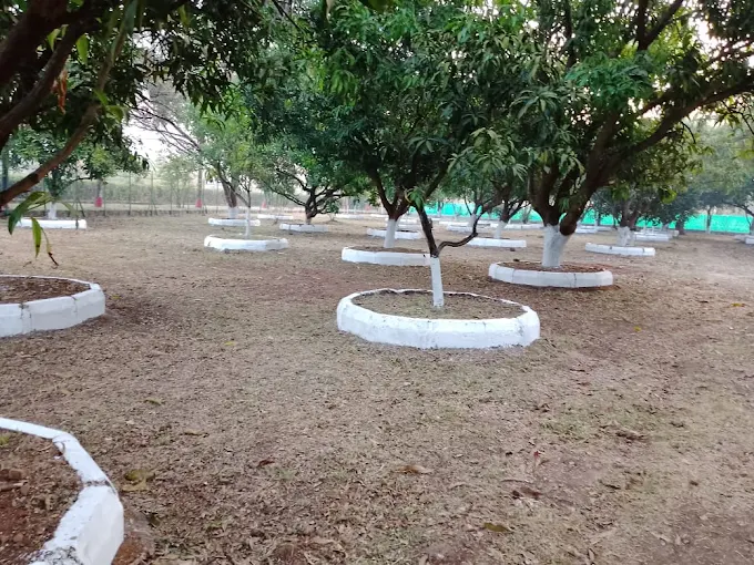 Bhagyesh Farm photo 3