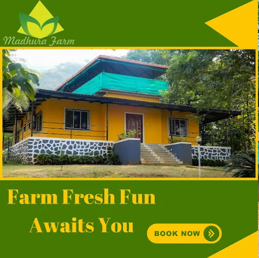MADHURA FARMS photo 5