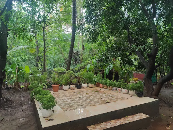 Mandewal Farm photo 3